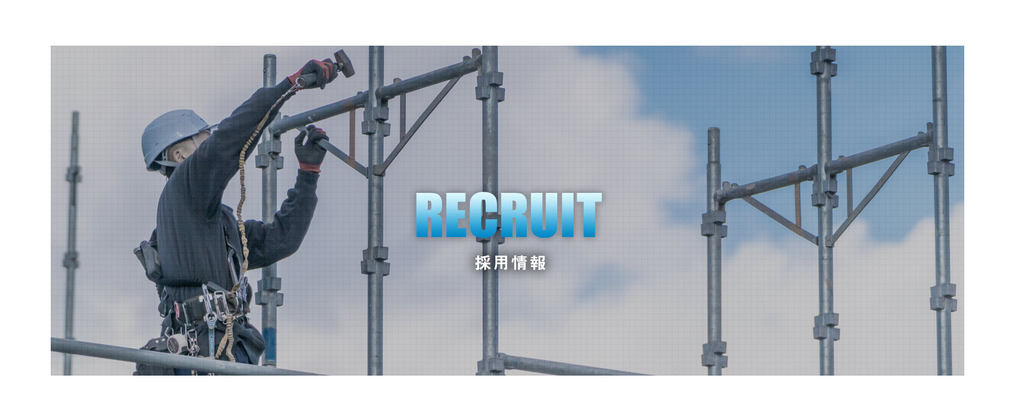 採用情報